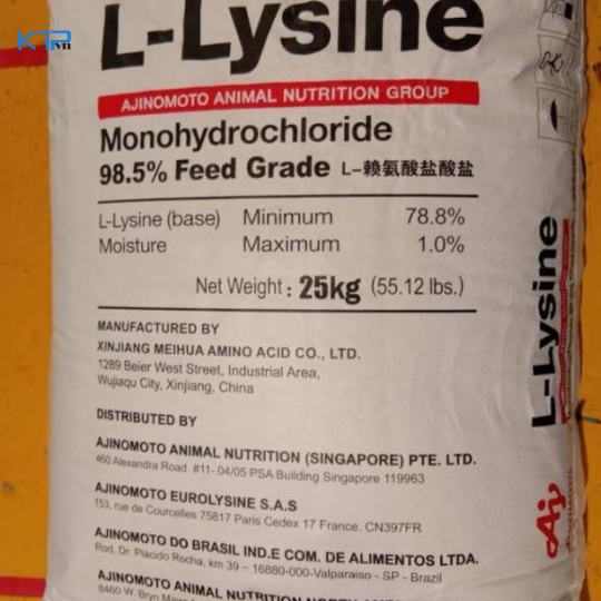 L-LYSINE (AJINOMOTO)